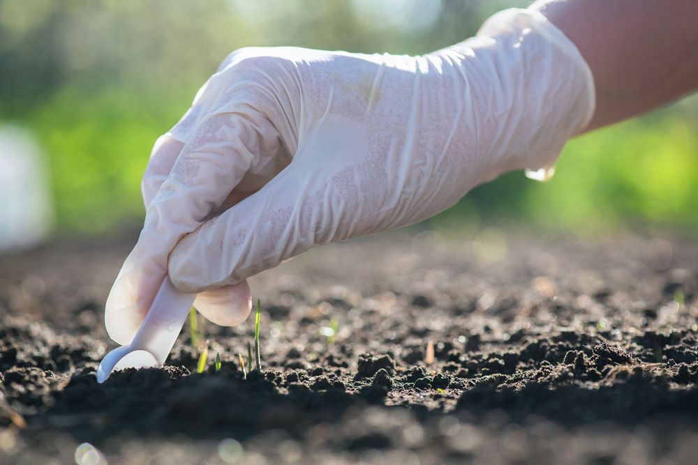 Soil and Plant Scientist