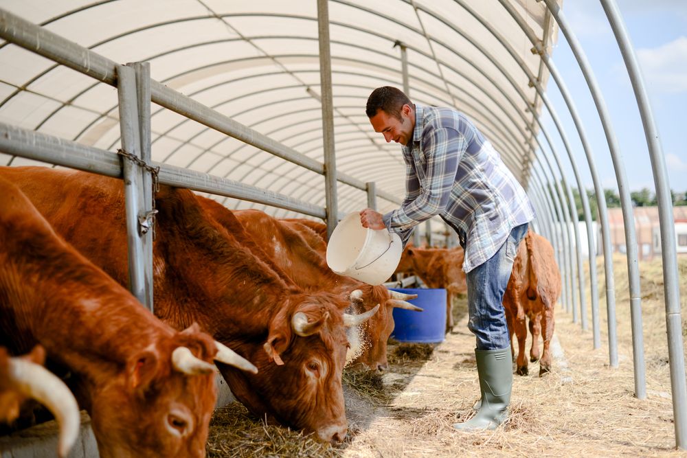 Animal Breeder
